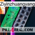 Ziyinzhuangyang new04